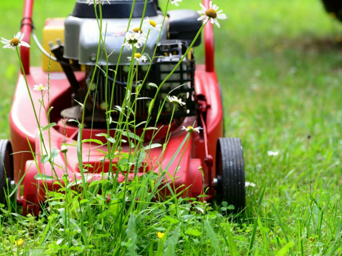 We will mow your lawn!